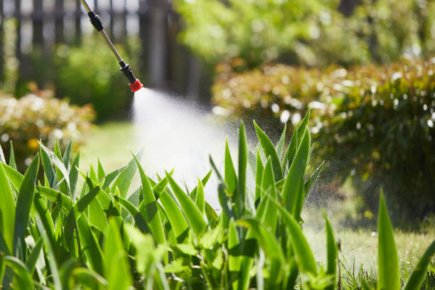 Tamper-Resistant Bait Stations for Rodents in King City