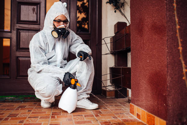 Attic and Crawl Space Rodent Treatment in King City